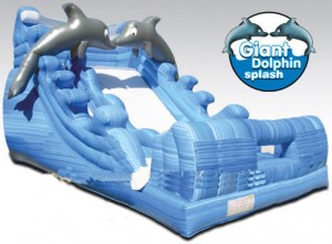 Dolphin Water Slide